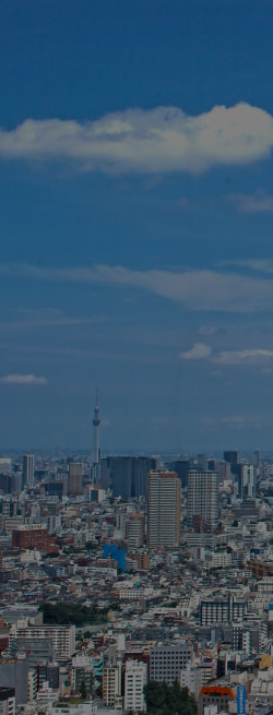 会社概要